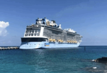 Cruise Line Face Allegations Following Man’s Death