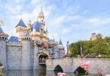 Fight Breaks Out At California Theme Park