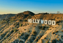 Stewart Discusses Moving Out Of USA